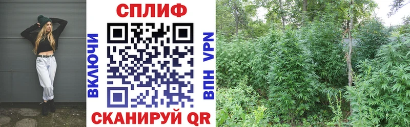 Купить закладку Каннабис  АМФЕТАМИН  КОКАИН  Гашиш  МЕФ  Сураж