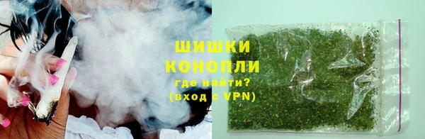 сатива Армянск