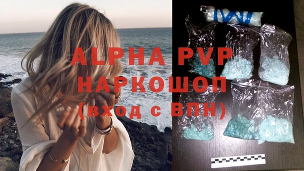сатива Армянск